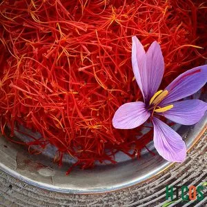 Nhụy Hoa Nghệ Tây Saffron Queen Saffron Organic Supper Negin 1gr tốt không