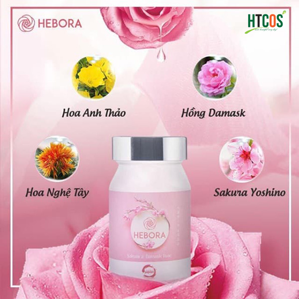 Hebora Premium Sakura Damask Rose mua ở đâu