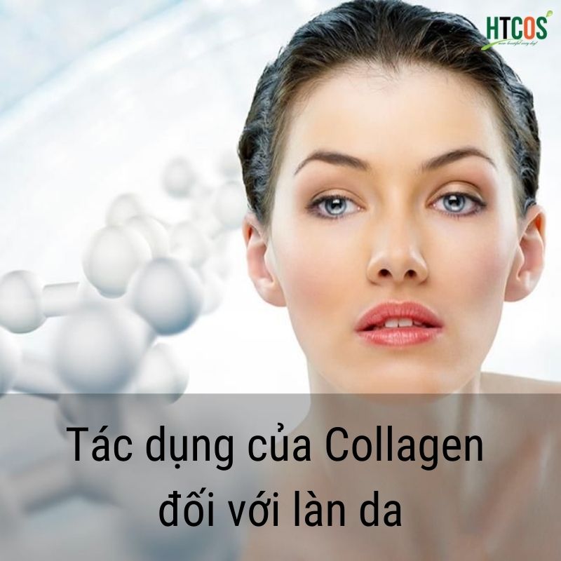Collagen có tác dụng gì cho da