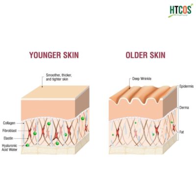 Collagen loiaj nào tốt cho da