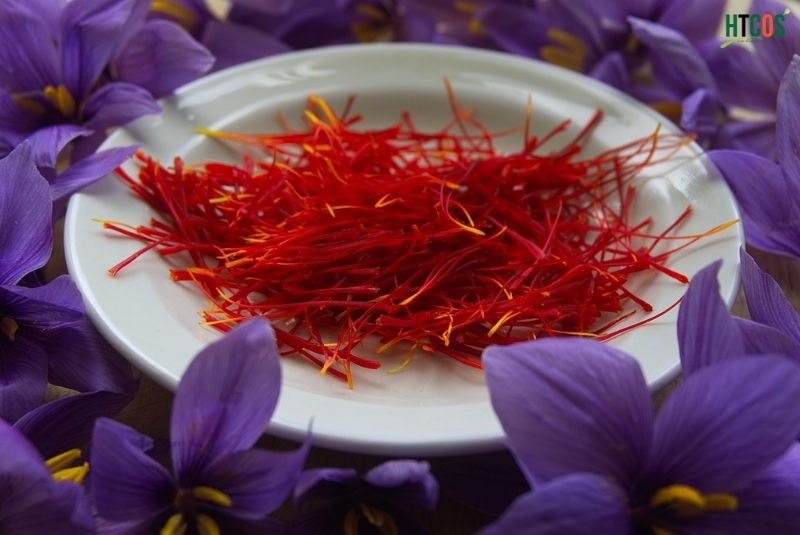 Saffron - Nhụy hoa nghệ tây