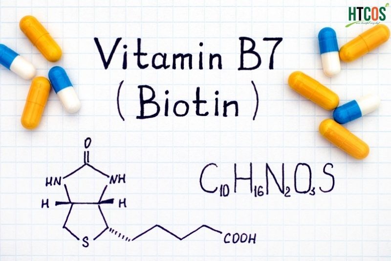Nguồn gốc của biotin