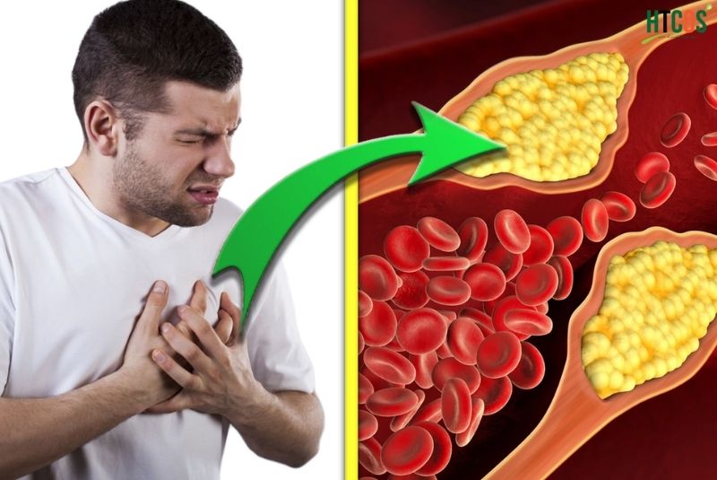 Yến mạch giảm cân giảm cholesterol